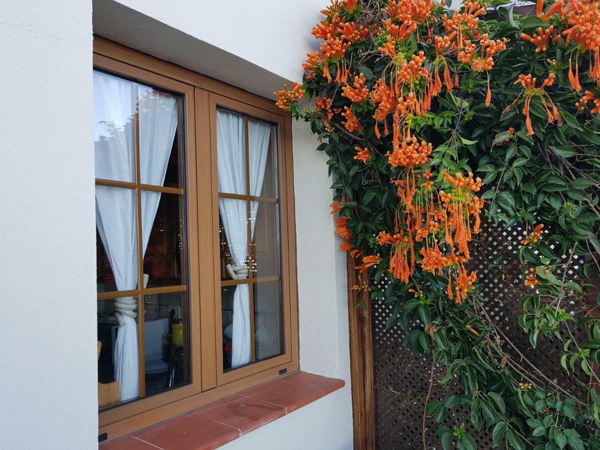 Bungalows Aldani 蒂哈拉费 外观 照片